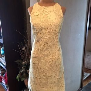 Eliza J size 6 yellow lace dress. Never worn